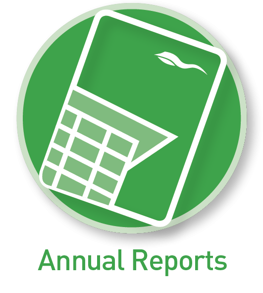 Icon Annual Reports