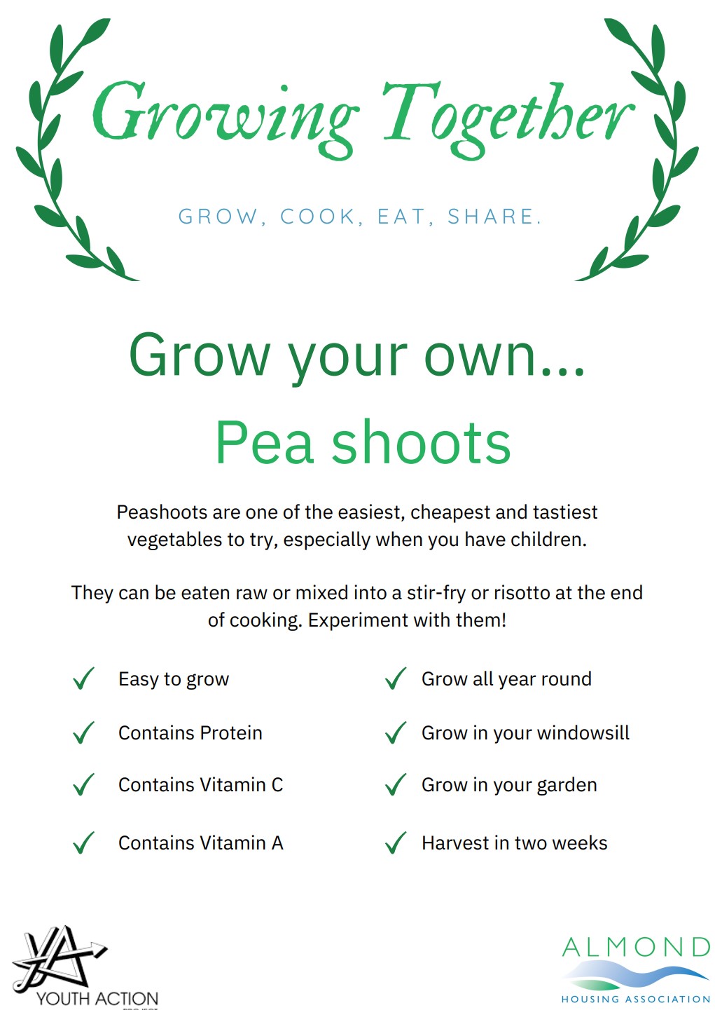Grow Your Own - Peashoots