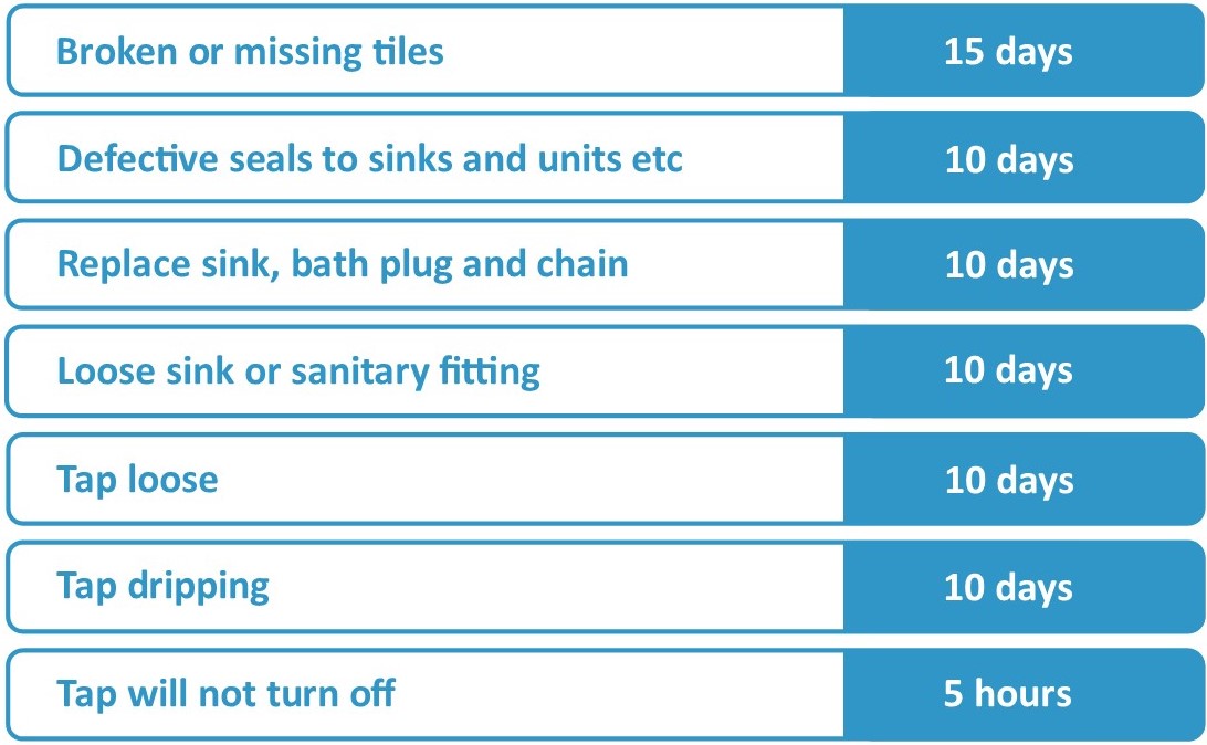 Bathroom or kitchen repairs